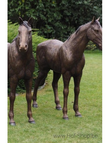 Couple de Chevaux - sculpture en bronze (B1309)