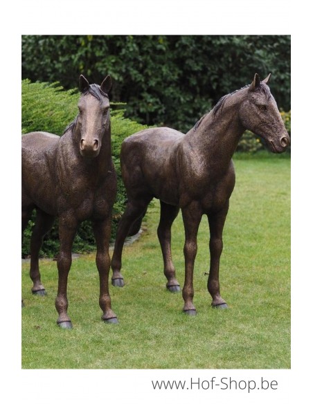 Couple de Chevaux - sculpture en bronze (B1309)