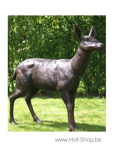 Cerf femelle - statue en bronze (B1341R)