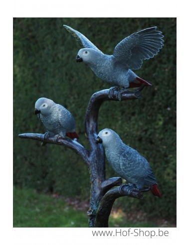 3 Grijze roodstaart papegaaien - bronzen beeld (B1375)