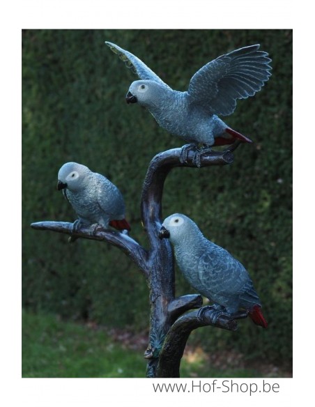 3 Grijze roodstaart papegaaien - bronzen beeld (B1375)