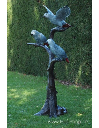 3 perroquets gris à queue rouge - statue en bronze (B1375)