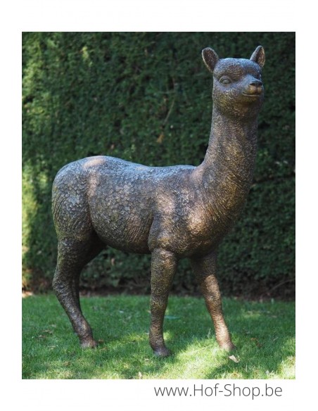 Alpaca - bronzen beeld (B1384)