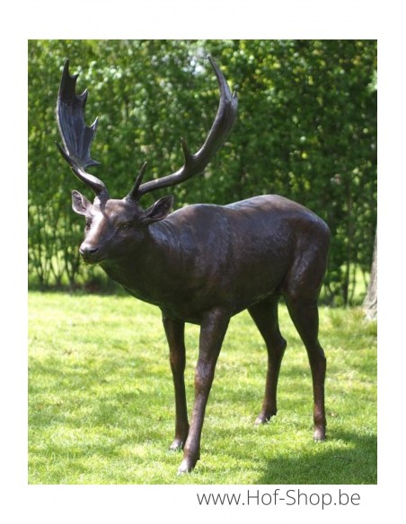Daim - statue en bronze (B1408)