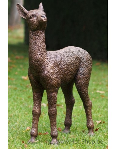 Baby alpaca - bronzen beeld (B1413)