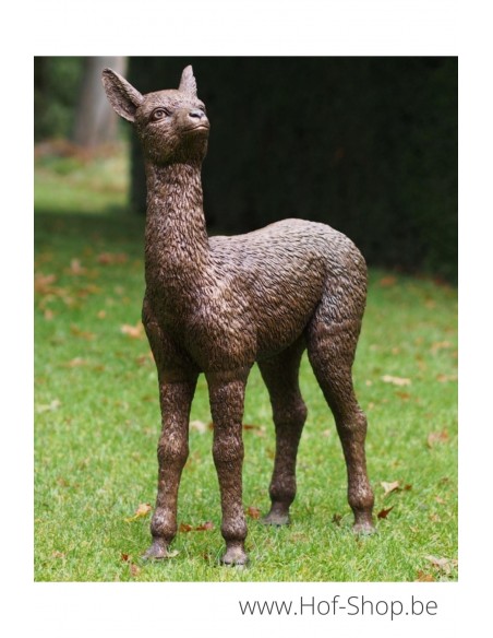 Baby alpaca - bronzen beeld (B1413)