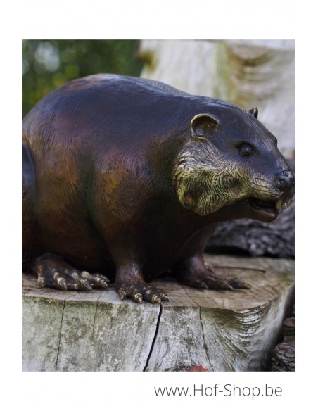 Castor - statue en bronze (B18062)