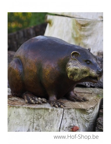 Castor - statue en bronze (B18062)