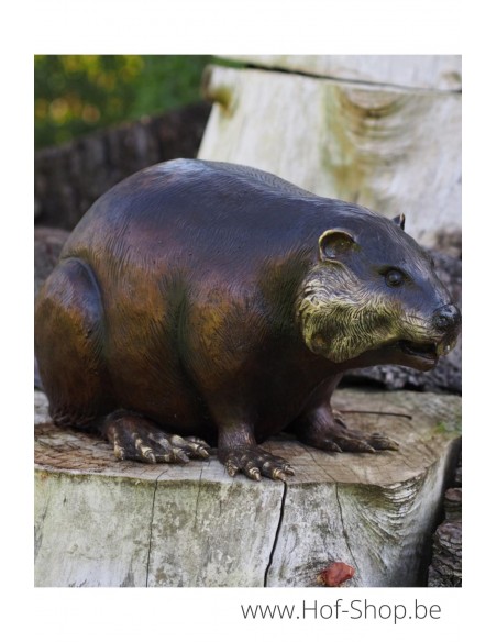 Castor - statue en bronze (B18062)