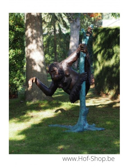 2 Aapjes in de boom - bronzen beeld (B50492)