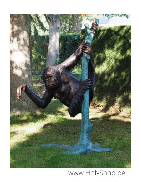 2 singes dans l'arbre - bronzen beeld (B50492)