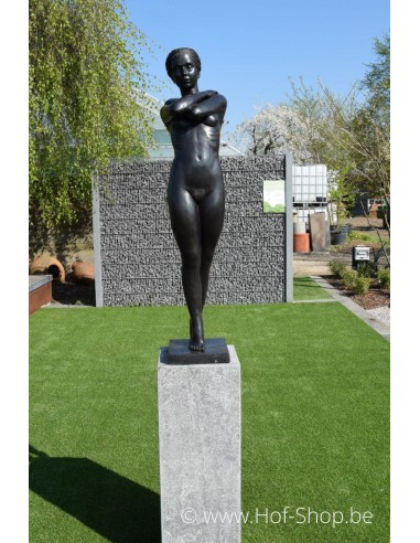 Staand naakt - bronzen beeld (B675)