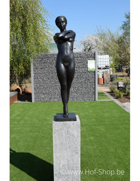 Staand naakt - bronzen beeld (B675)
