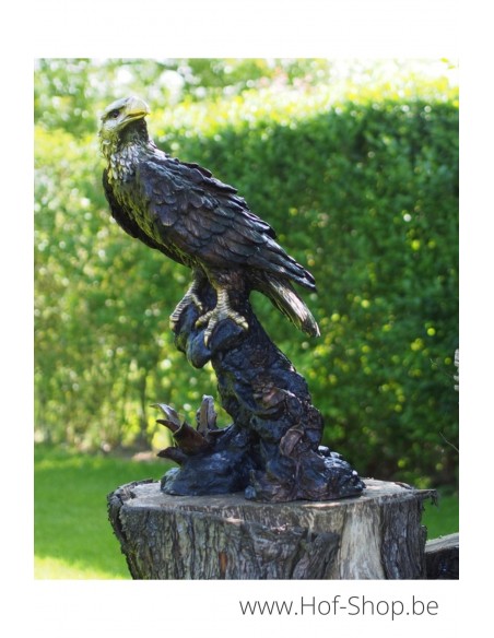 Aigle - statue en bronze (B55956)