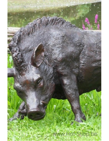 Everzwijn - bronzen beeld (B56172)