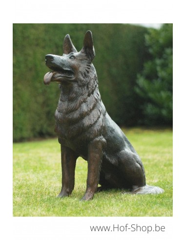 Zittende hond - bronzen beeld (B56814)