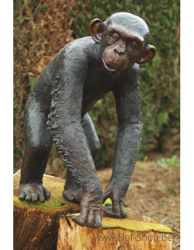 Chimpansee - bronzen beeld (B59265)
