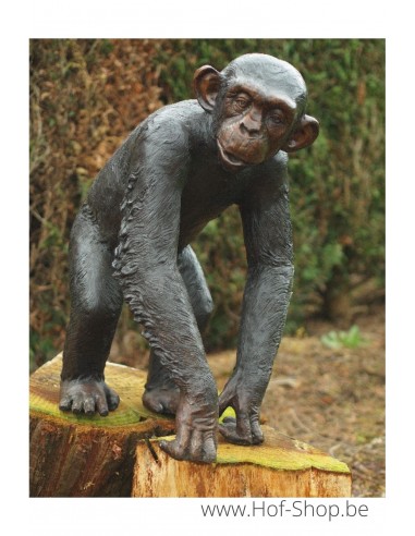 Chimpansee - bronzen beeld (B59265)
