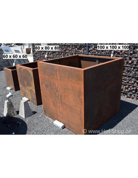 Carrez 100 x 100 x 100 cm - Jardinière Adezz en acier Corten