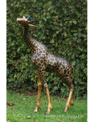 Tête de girafe de côté - statue en bronze (B77022)