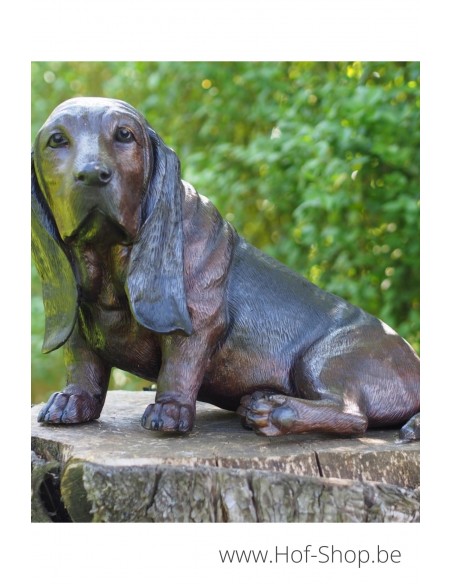 Basset - statue en bronze (B94566)