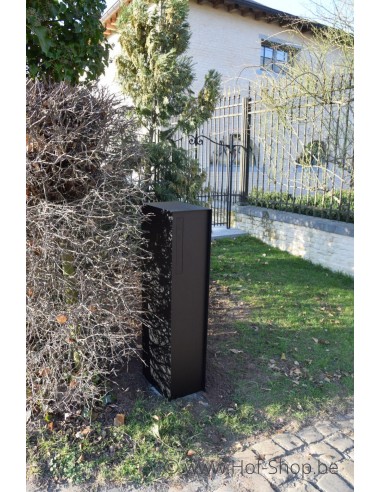 Fenix Front Back Door RAL 9005 - eSafe pakketbus aluminium