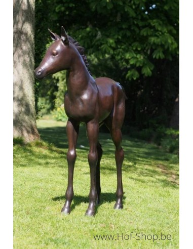 Poulain - sculpture en bronze (PB61081)