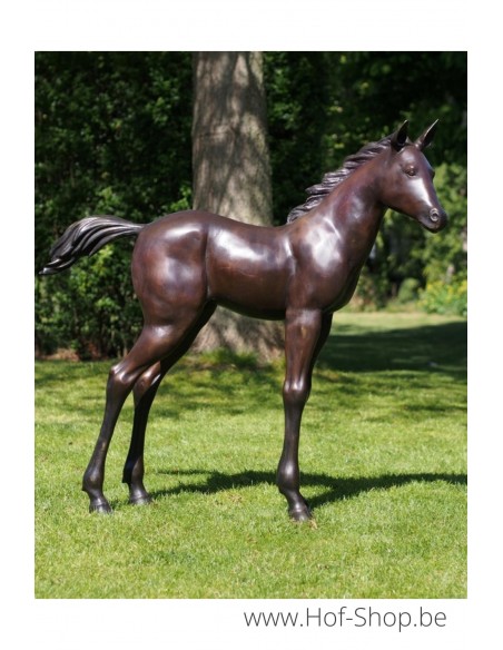 Poulain - sculpture en bronze (PB61081)