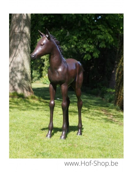 Poulain - sculpture en bronze (PB61081)
