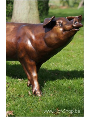 Cochon - statue en bronze (PB61083-1)
