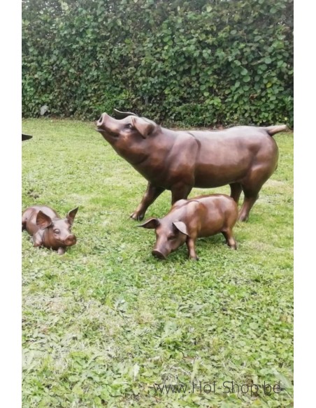Varken - bronzen beeld (PB61083-2)