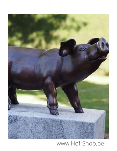 Biggetje - bronzen beeld (PB61083-3)