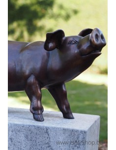 Biggetje - bronzen beeld (PB61083-3)