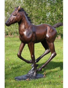 Poulain courant - sculpture en bronze (PB61165)