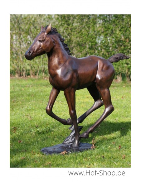 Poulain courant - sculpture en bronze (PB61165)