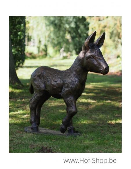 Poulain âne - statue en bronze (PB61192-3)