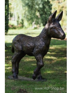 Ezel veulen - bronzen beeld (PB61192-3)