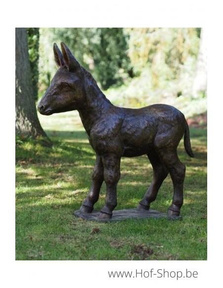 Ezel veulen - bronzen beeld (PB61192-4)