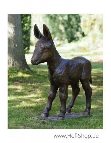 Ezel veulen - bronzen beeld (PB61192-4)