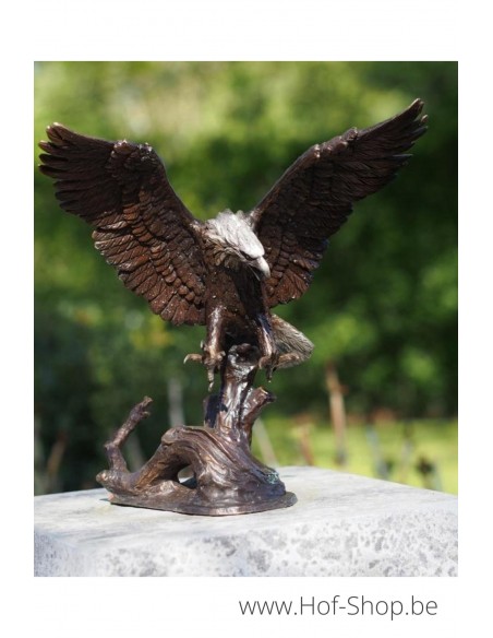 Aigle volant - statue en bronze (PB61201)