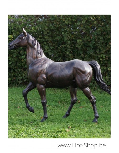 Groot paard - bronzen beeld (PB61219)