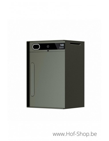 Custo 1s RAL 6015 - boîte à colis intelligente en aluminium