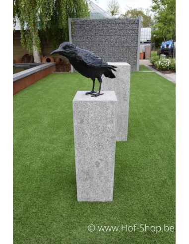 Raaf mannelijk - bronzen beeld (B50325)
