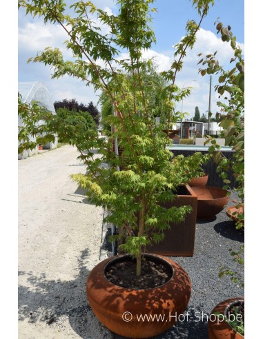 Onyx 78 x 43,15 cm - Adezz Plantenbak in cortenstaal
