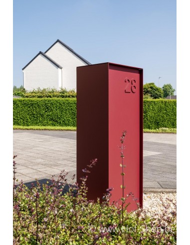 Dropbox Small met RAL-kleur Back Door - pakketbus aluminium