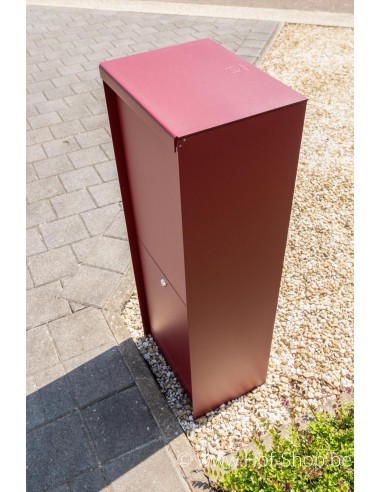 Dropbox Small met RAL-kleur Back Door - pakketbus aluminium