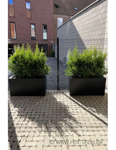 Carrez 120 x 50 x 60 cm - Jardinière Adezz en polyester