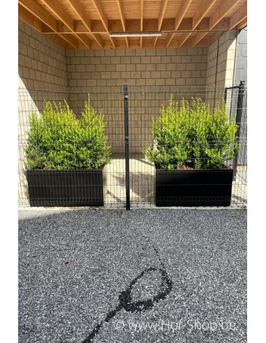 Carrez 120 x 50 x 60 cm - Jardinière Adezz en polyester