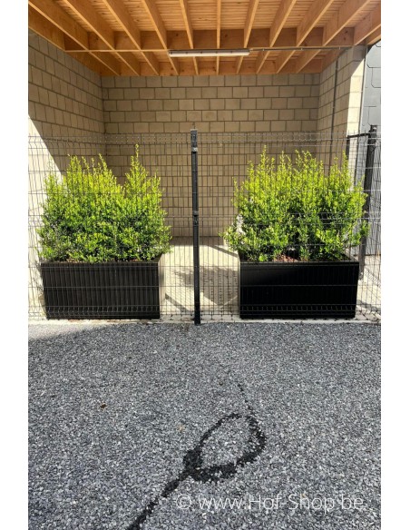 Carrez 120 x 50 x 60 cm - Jardinière Adezz en polyester