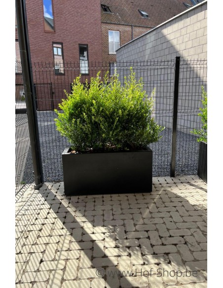 Carrez 120 x 50 x 60 cm - Jardinière Adezz en polyester